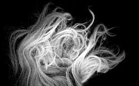 Chris Rehberg photography